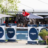 Impress-K van 't Kattenheye Z