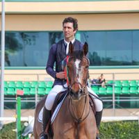 Gazania de Baerenrain