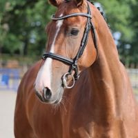 Aras V/D Verbindingshoeve Z