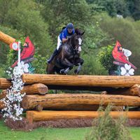 Forever Young Wundermaske