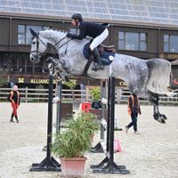 Cartel Du Lys A Et L