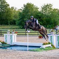 Syvhøjegaards J.j. Flash