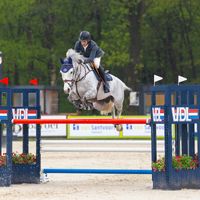 Devino vd Weretherbach Z