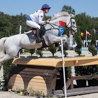 Acsi Champ de Tailleur