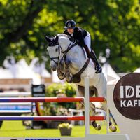 Ghost des Brimbelles