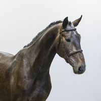 Chapeau de Mauretus Z