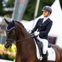 Waterfront Donnie Brasco