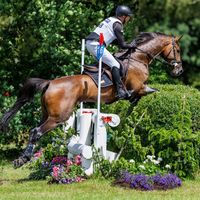 Herr Cooles Classico