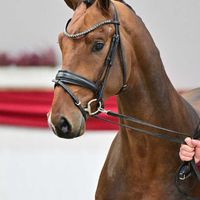 Hengst v. Fürstenball - Secret