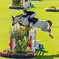 Harlequin Des Flagues