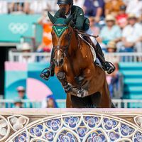 Chevaux Primavera Imperio Egipcio