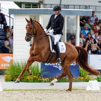 Elliot the Dancer NRW