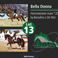 Bella Donna 163