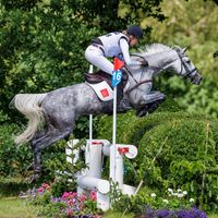 Dia van het Lichterveld Z