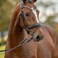 TP Fabelhafter Filou