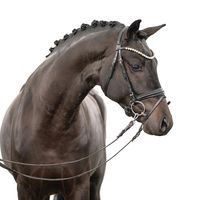 Jovian / Fürstenball