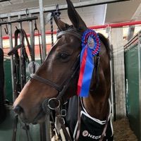 Eklektik Des Hutiers