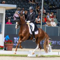 Sunnyboy van de Kempenhoeve