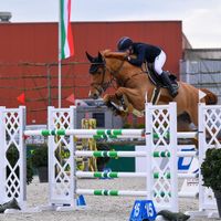 L'enfant de La Tempete