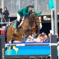 Ballypatrick Flamenco