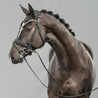 Franco Nero / Dante Weltino