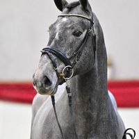 Hengst V. James Blue - Latour VDM