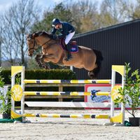 Ballypatrick Tiberius