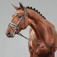 Vitalis / Sir Donnerhall I