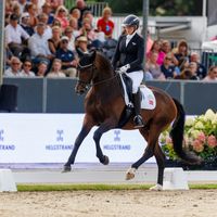 Svalegårds Hot Driver