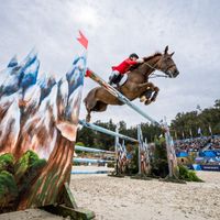 Nelson du Petit Vivier