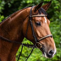 SMA Talan's Centoona