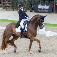 Gorklintgards Scorpion