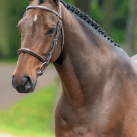 SCALO VAN DE OUDE HEIHOEF