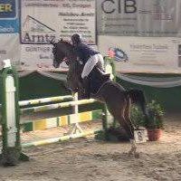 Natcho van Het Maeshof