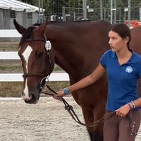 Hidalgo de Vesquerie