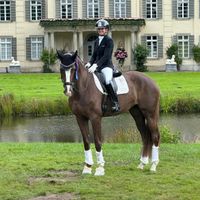 Amazing Figuera TR OLD