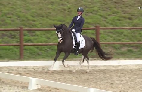 Agria DRF-mesterskab for pony og Topponyer Stil Cup finale