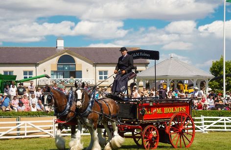 Great Yorkshire Show