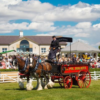 Great Yorkshire Show