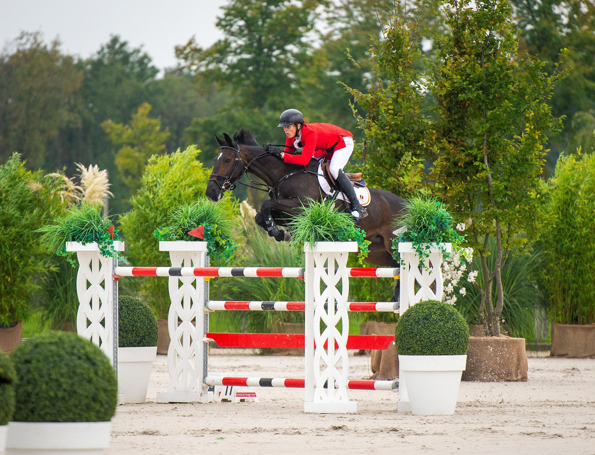 Live Stream - FEI Jumping Nations Cup™ Youth 2024 - Zduchovice 