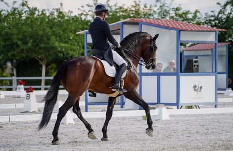 Campeonato de España Doma Clásica Absoluto, Paralímpica y Másters 2025
