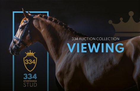 334 Inaugural Auction