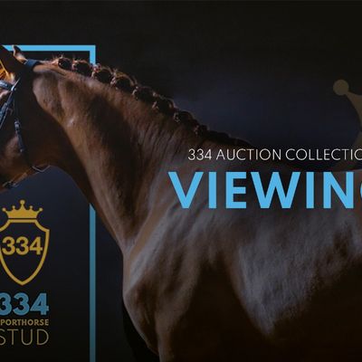 334 Inaugural Auction