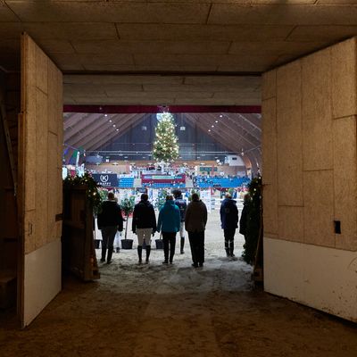 Kingsland Christmas Show 2025