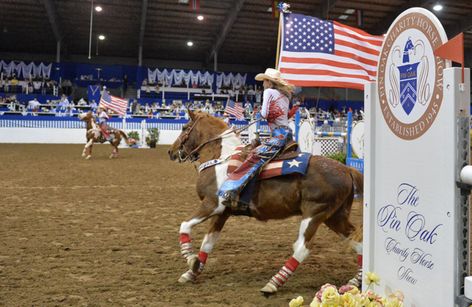 79th Pin Oak Charity Horse Show Breed 2025