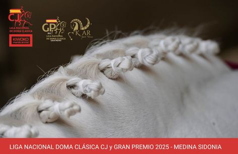 CDN3* Los Albardones - LIGA NACIONAL DE DOMA CLÁSICA CABALLOS JÓVENES Y GRAN PREMIO 2025