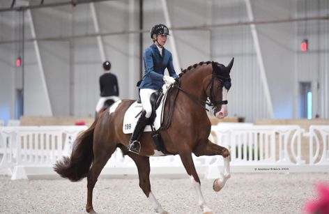 WEC August Dressage presented by Hampton Green Farms