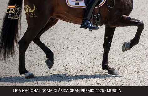 CDN3* Rios EQ - LIGA NACIONAL DE DOMA CLÁSICA GRAN PREMIO 2025