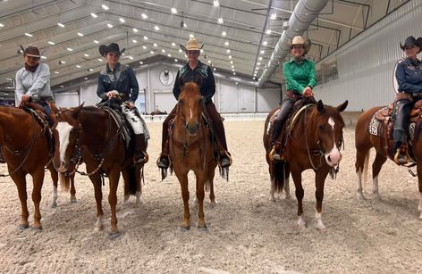 American Paint Horse (FPHC) Holiday Classic