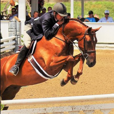 Blowing Rock Charity Horse Show 2025 – Week #1